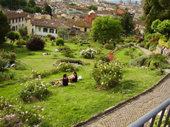Il Giardino delle Rose